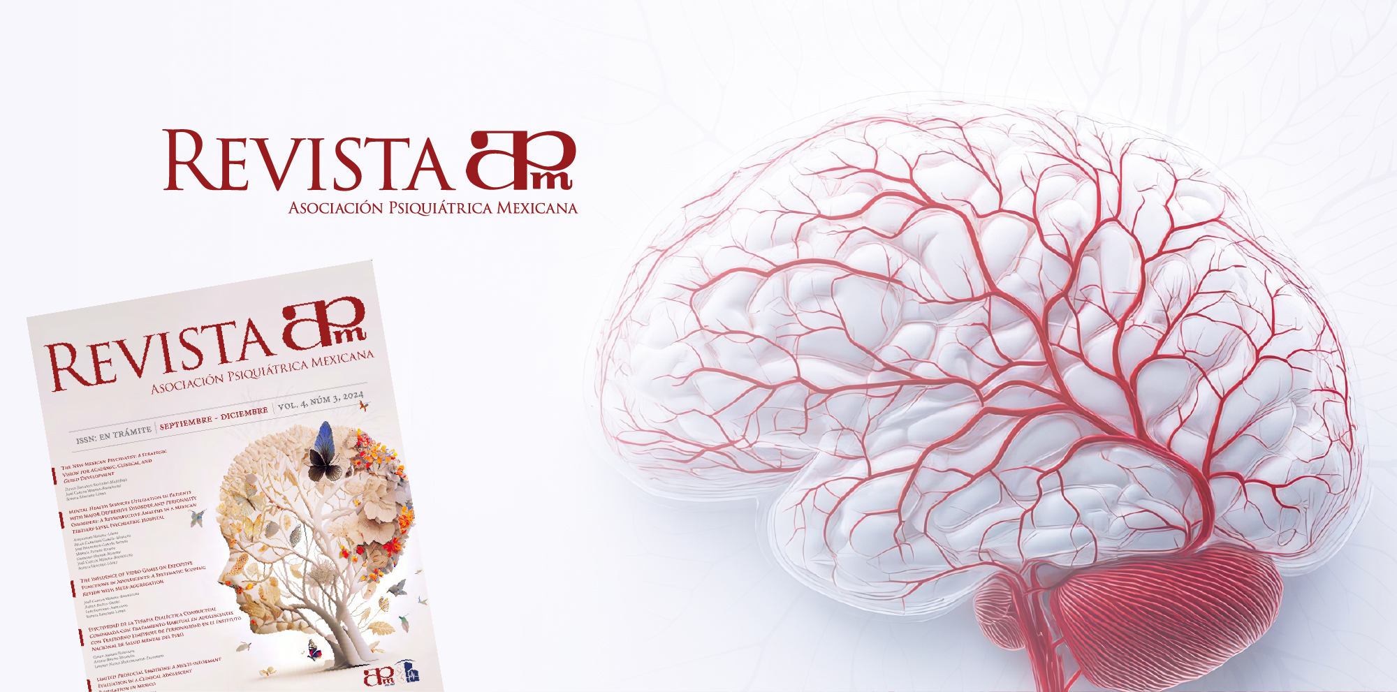 Revista APM